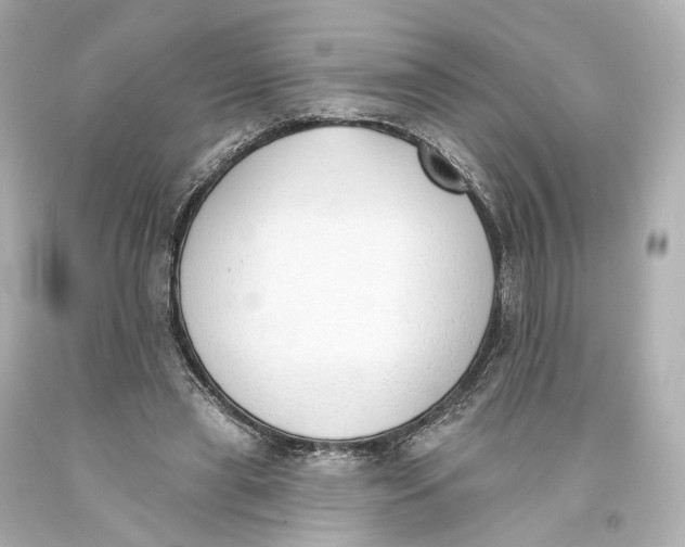 X0000093360445200711011211