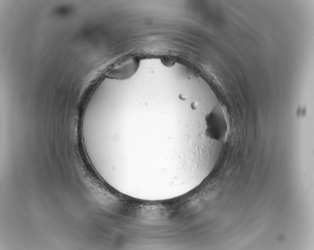 X0000093360446200711011211