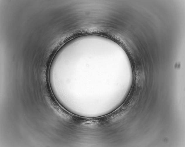 X0000093360447200711011211