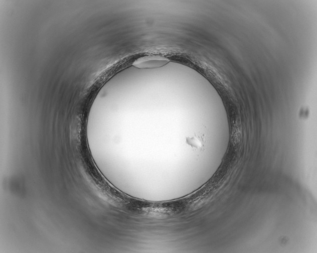 X0000093360448200711011211