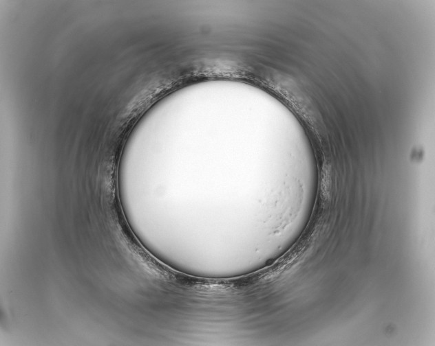 X0000093360449200711011211