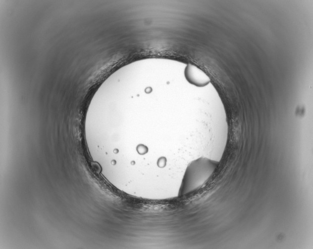 X0000093360450200711011211