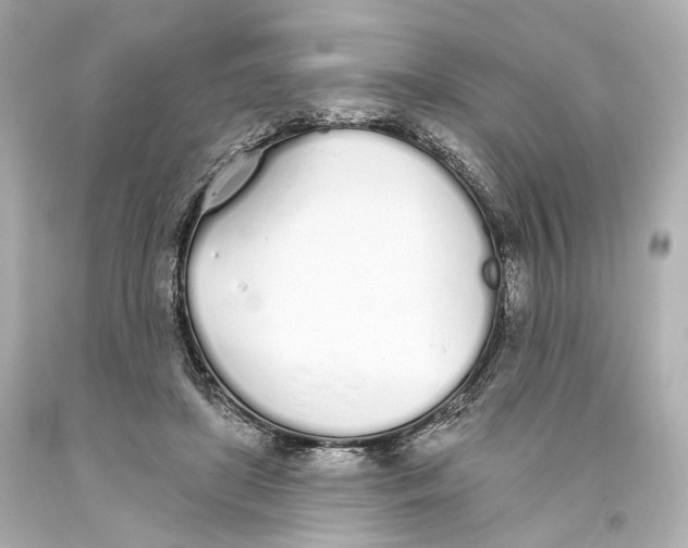 X0000093360451200711011211