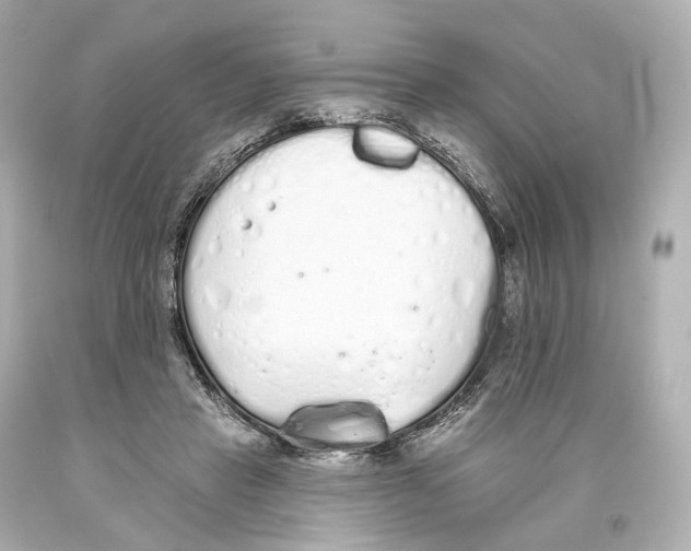 X0000093360453200711011211