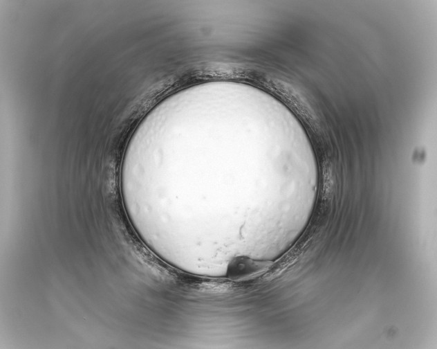 X0000093360457200711011211