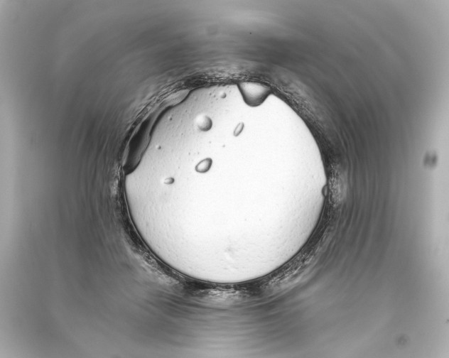 X0000093360458200711011211