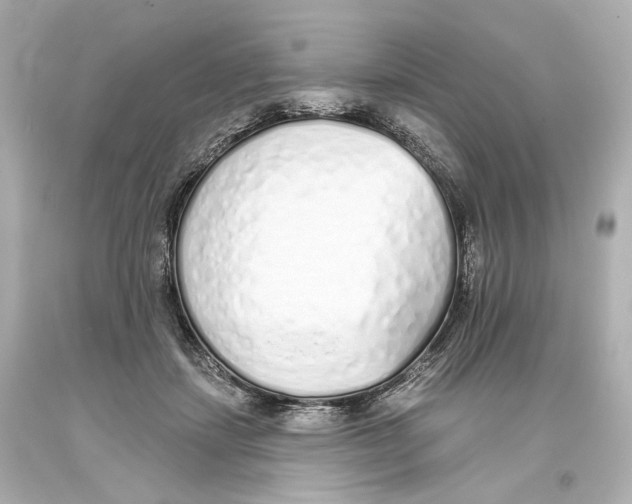 X0000093360459200711011211