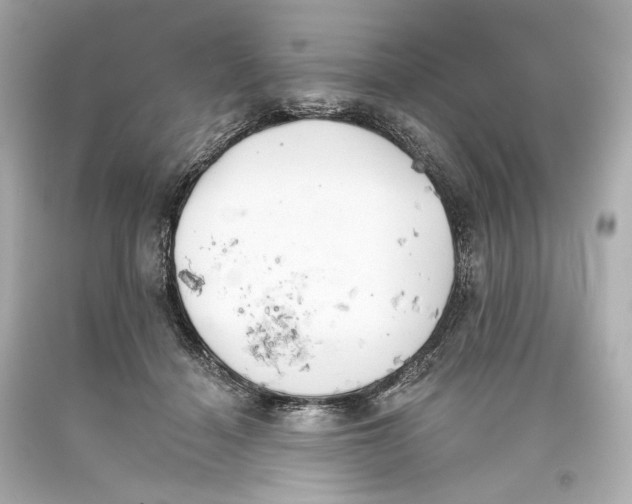 X0000093360460200711011211