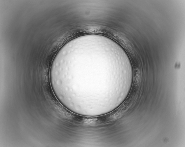 X0000093360461200711011211