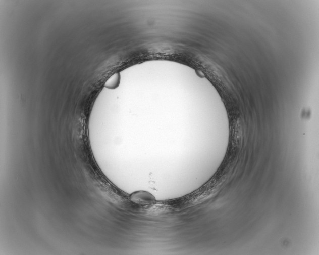 X0000093360463200711011211