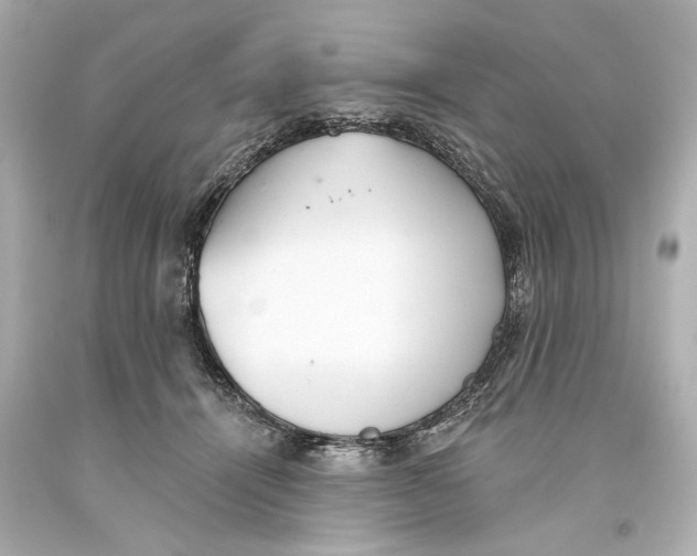 X0000093360464200711011211