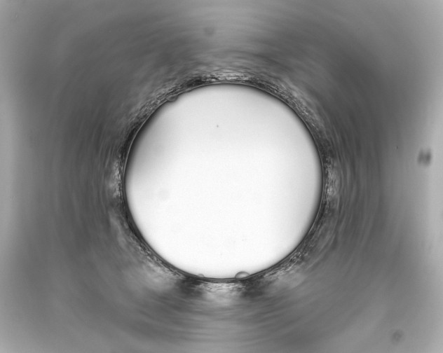 X0000093360465200711011211