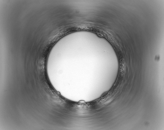 X0000093360466200711011211