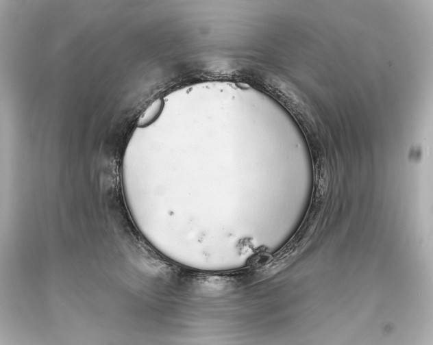 X0000093360467200711011211