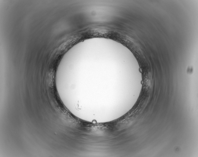 X0000093360468200711011211