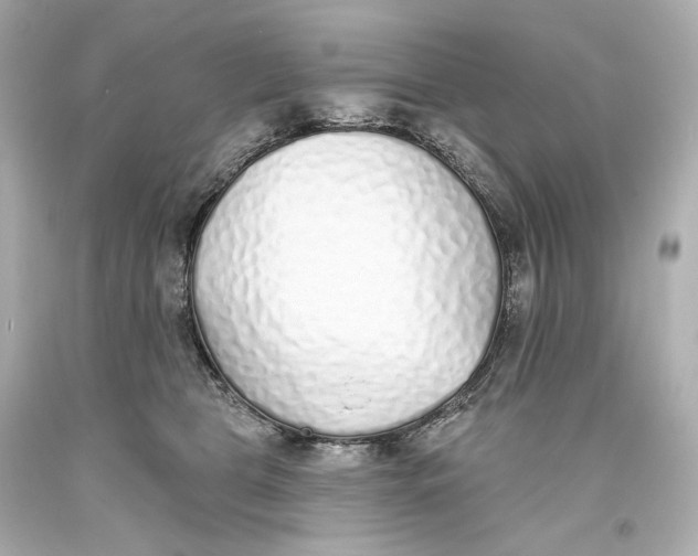 X0000093360469200711011211