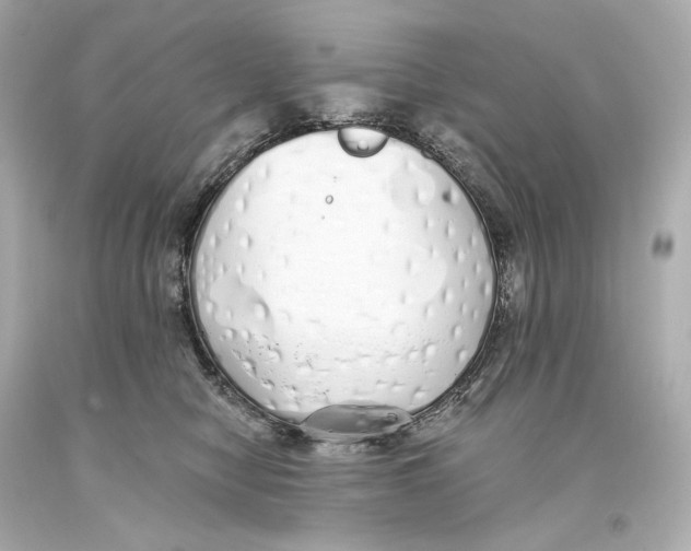 X0000093360470200711011211