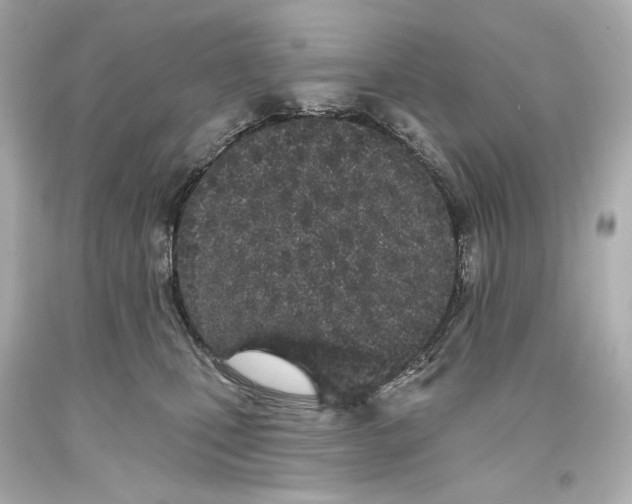 X0000093360471200711011211