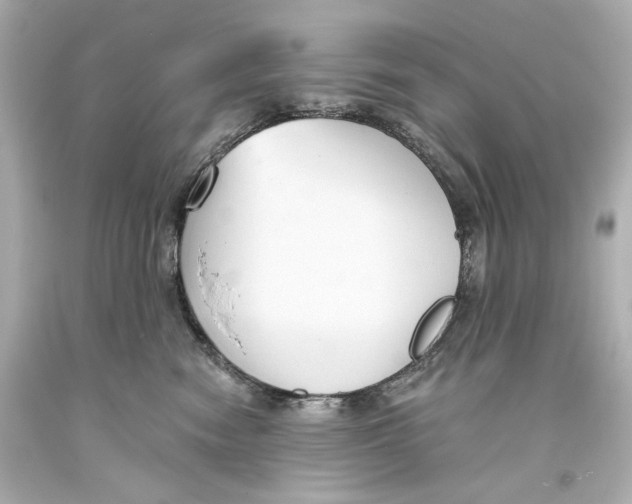 X0000093360474200711011211