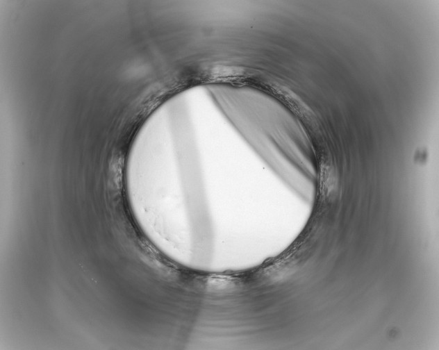 X0000093360475200711011211