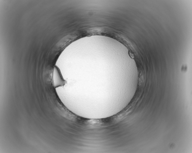 X0000093360477200711011211