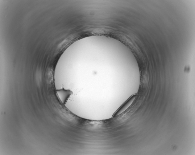 X0000093360478200711011211