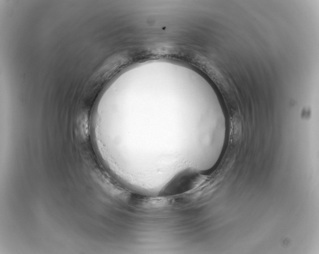 X0000093360479200711011211