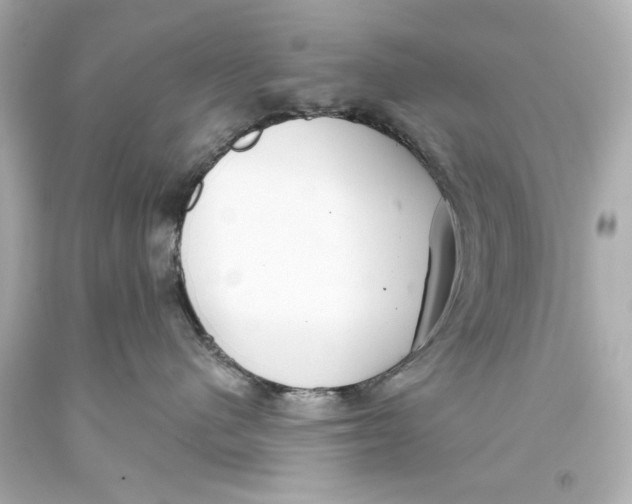 X0000093360480200711011211