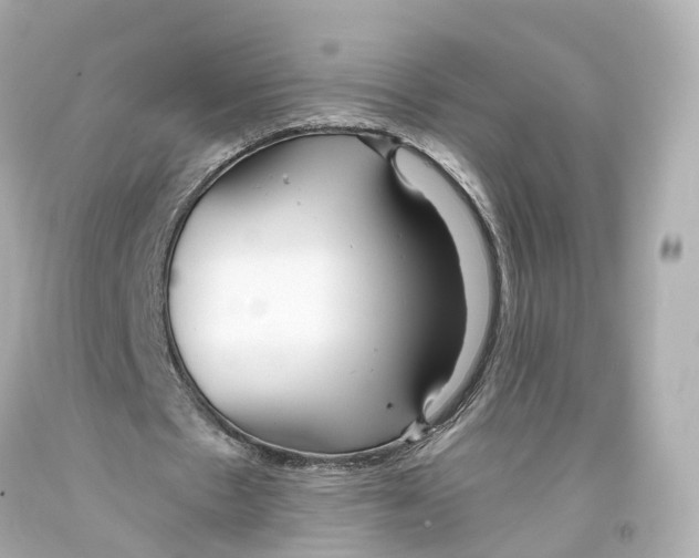 X0000093360481200711011211