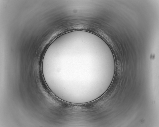 X0000093360482200711011211