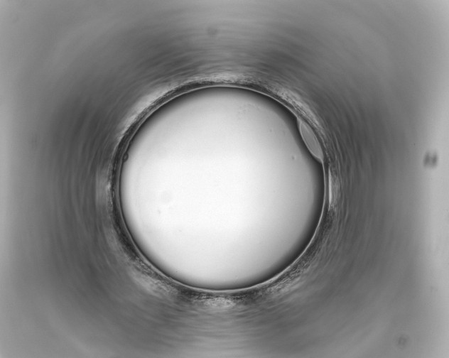 X0000093360483200711011210