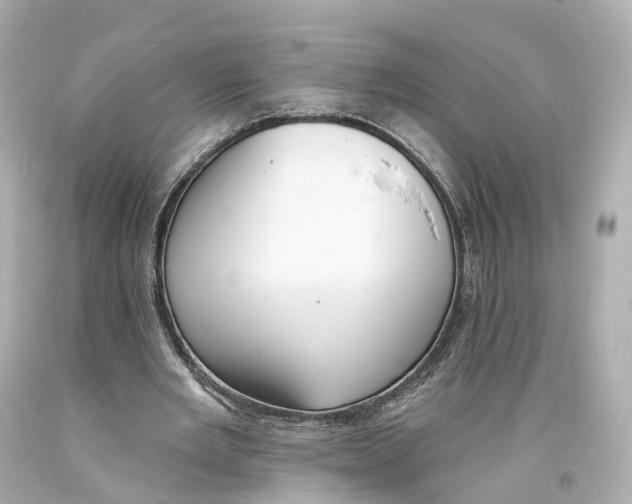 X0000093360485200711011210