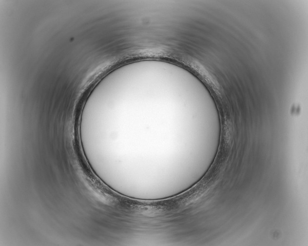 X0000093360486200711011210