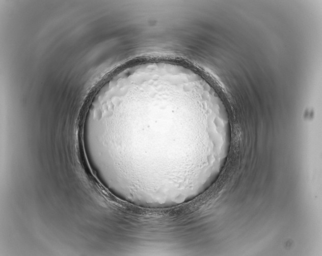 X0000093360487200711011210