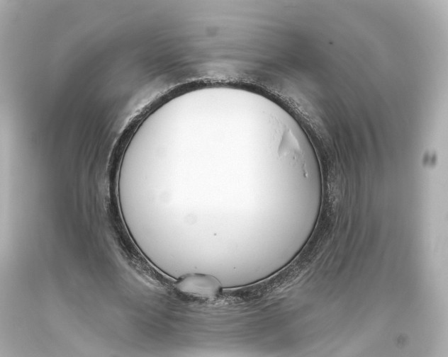 X0000093360488200711011210