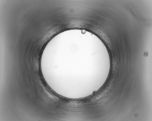 X0000093360489200711011210