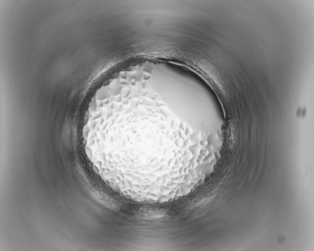 X0000093360491200711011210