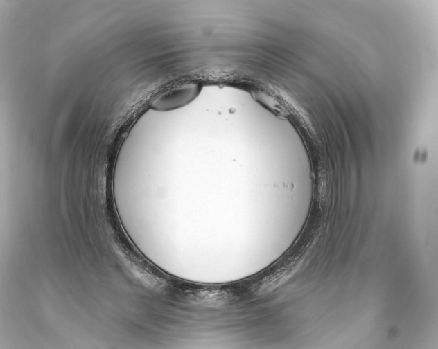 X0000093360493200711011210