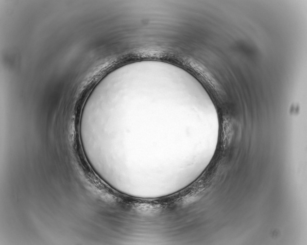 X0000093360494200711011210