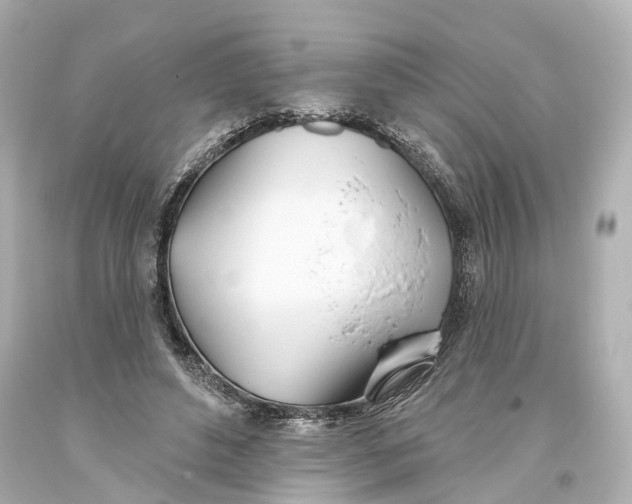 X0000093360496200711011210