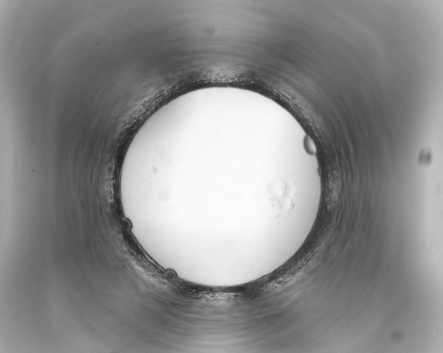 X0000093360497200711011210