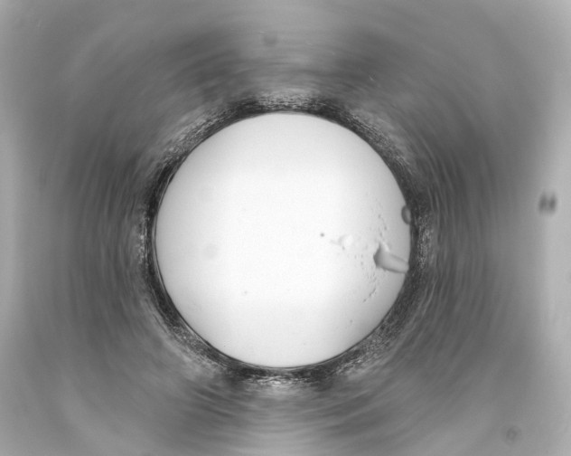 X0000093360498200711011210