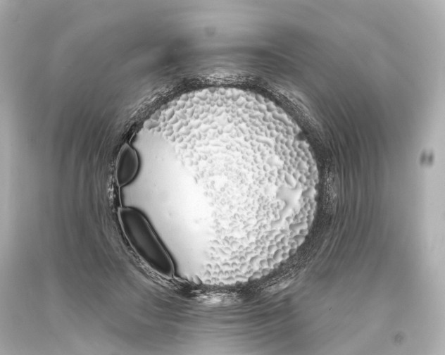 X0000093360499200711011210