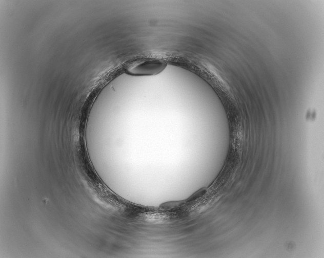 X0000093360500200711011210