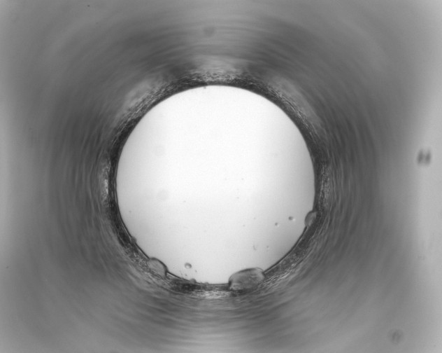 X0000093360501200711011210