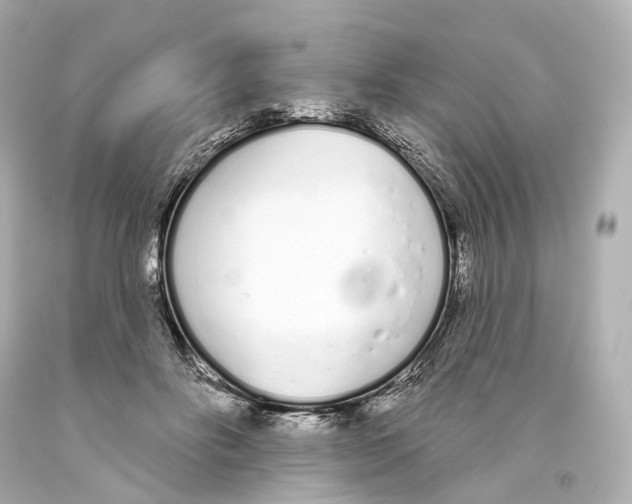 X0000093360502200711011210