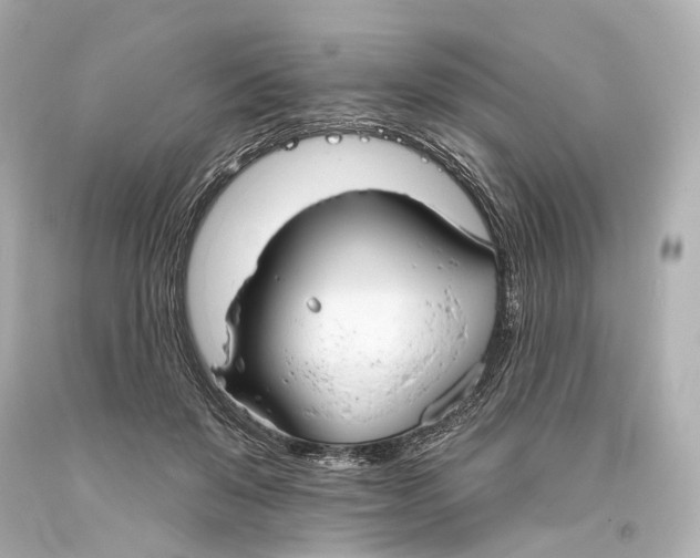 X0000093360503200711011210