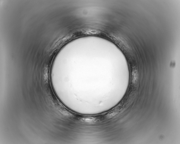 X0000093360506200711011210