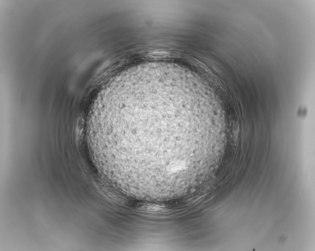 X0000093360507200711011210