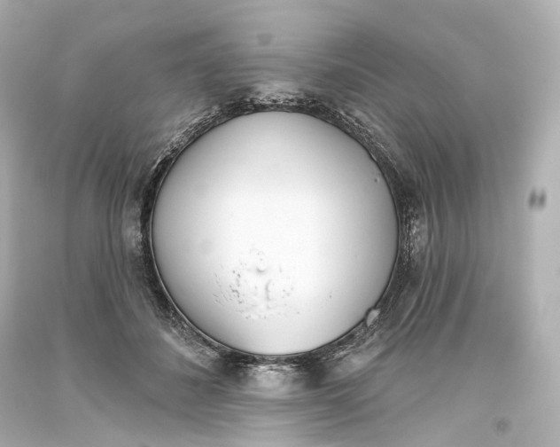 X0000093360508200711011210